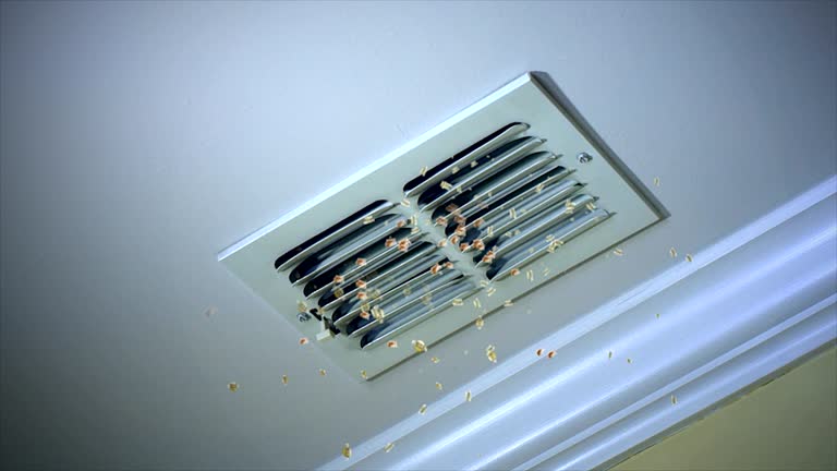 HVAC System Cleaning in Catlin, IL